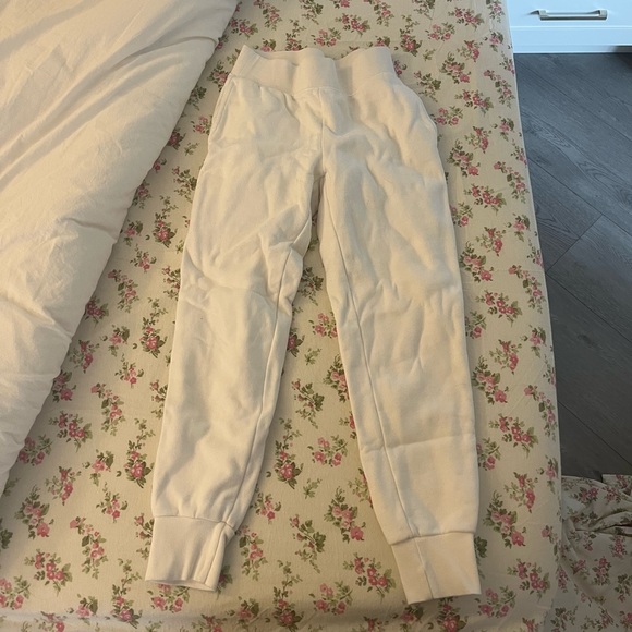 Aritzia Cozy AF Jogger Sweatpants - Picture 1 of 4